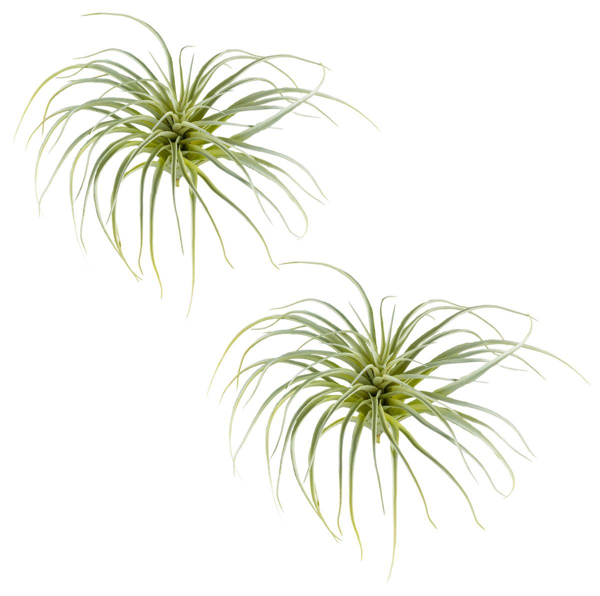 Kunstpflanze Sukkulenten Hellgrün, 20 cm - Hellgrün, Design, Kunststoff (20cm) - P & B