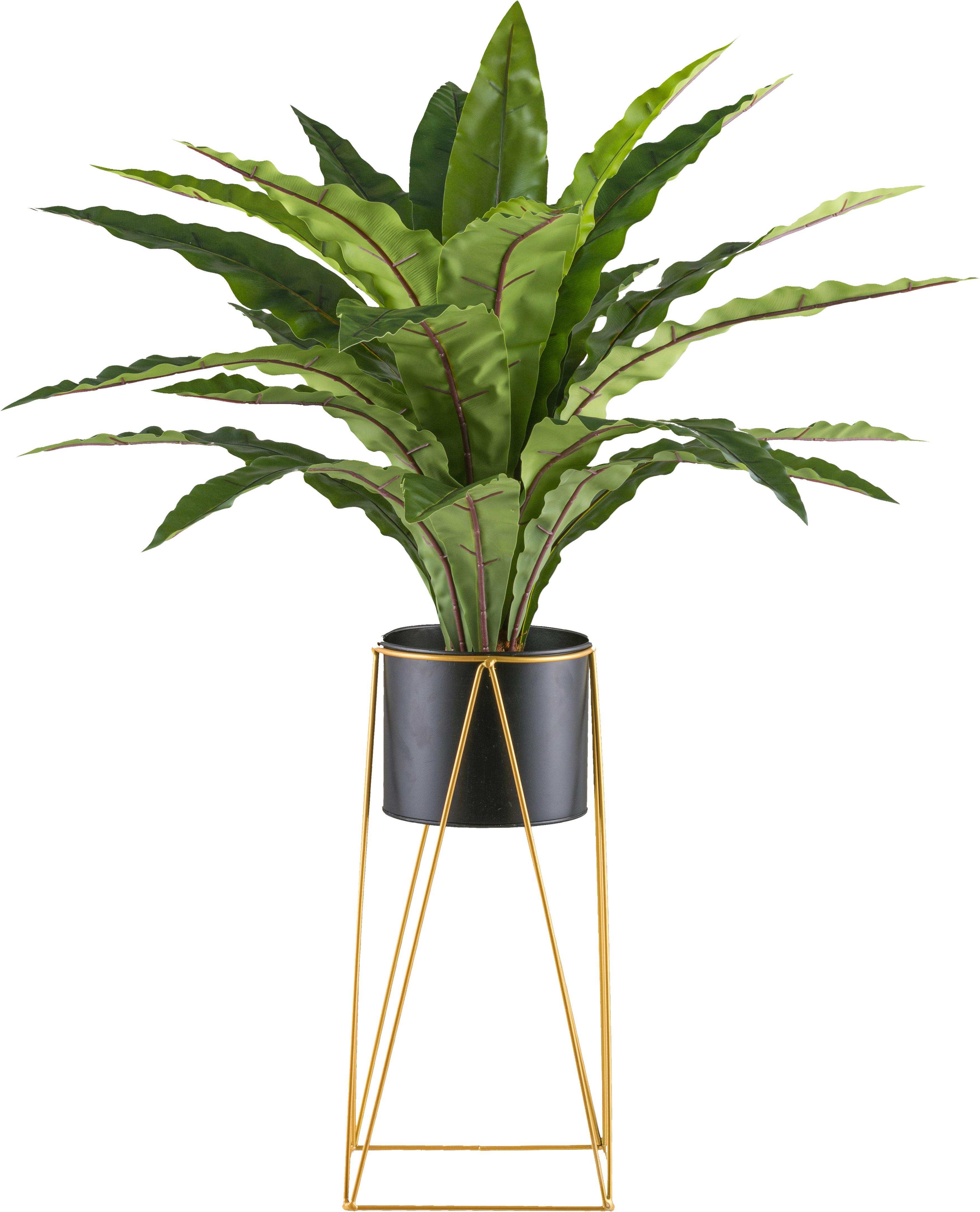 Kunstpflanze H: 105 cm - Schwarz/Grün, Design, Kunststoff/Metall (105cm) - P & B