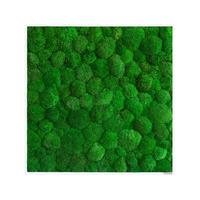 Moosbild Grün B: 80 cm - Weiß/Grün, Basics, Naturmaterialien/Holz (80/80/7cm)