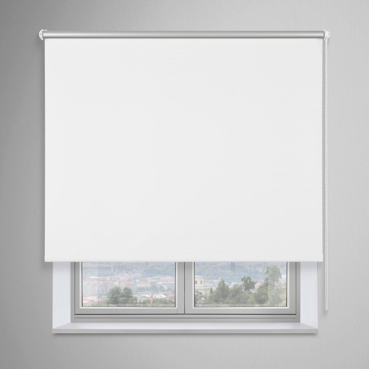 ZATEMŇOVACÍ ROLETA THERMO - bílá, Konvenční, textil (45/150cm) - Mömax