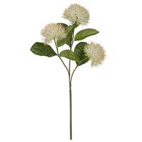 Dekoračná vetvička IXORAZWEIG, V: 87 cm - biela/zelená, Konventionell, plast (87cm) - Mömax