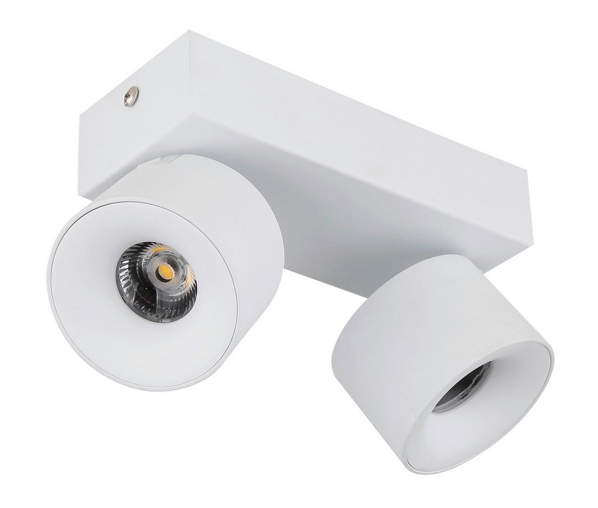 LED-Strahler 56961-2w Rae - Transparent/Weiß, Basics, Kunststoff/Metall (20.5/7.2/12cm) - Globo