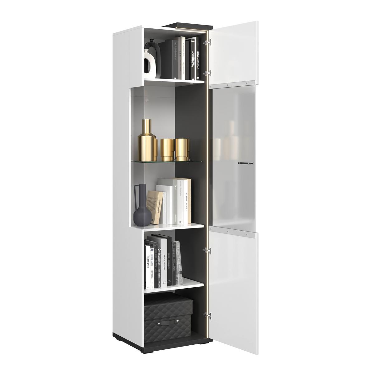 Vitrine Ambiente B: 48,5 cm mit LED Alpinweiss/Anthrazit - Weiß Hochglanz/Anthrazit, MODERN, Glas/Holzwerkstoff (48,5/199,1/43,6cm)