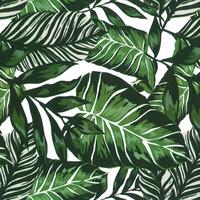 Klebefolie 55787 Klebefolie Deko Standard - Grün, Basics, Kunststoff (45/200cm) - Windhager