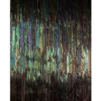 Vliestapete Dark Wings - Multicolor, Basics (200/250cm) - Komar