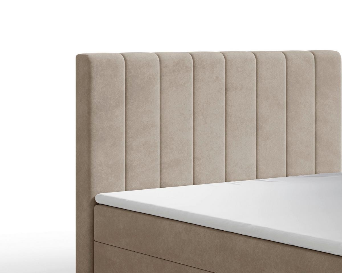 BOXBETT Lila Beige 160x200cm - Beige/Schwarz, MODERN, Holz/Kunststoff (160/200cm) - MID.YOU