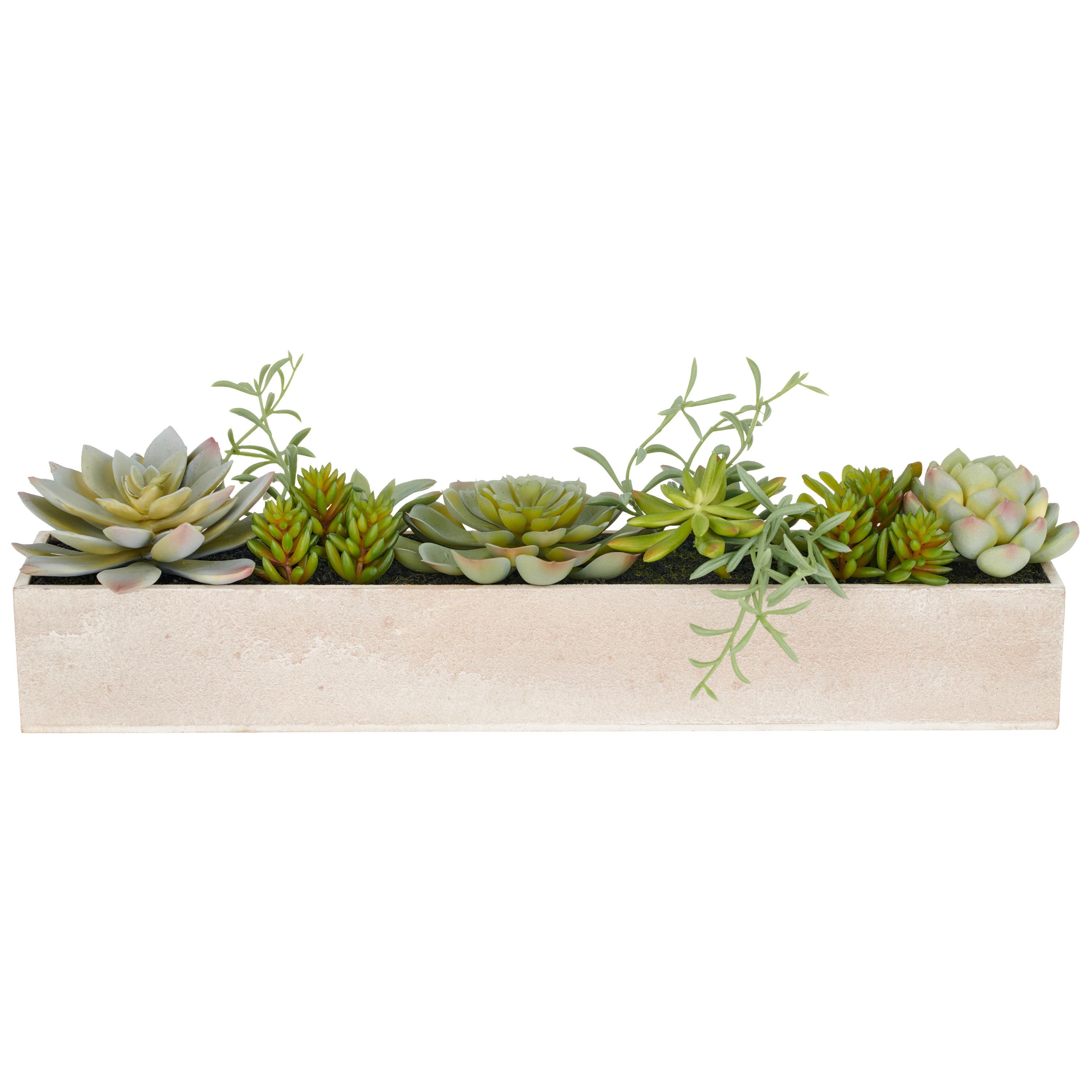 Kunstpflanze Grün B: 40 Cm - Grün, Basics, Kunststoff (40/8/6cm)