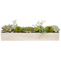 Kunstpflanze Grün B: 40 Cm - Grün, Basics, Kunststoff (40/8/6cm)