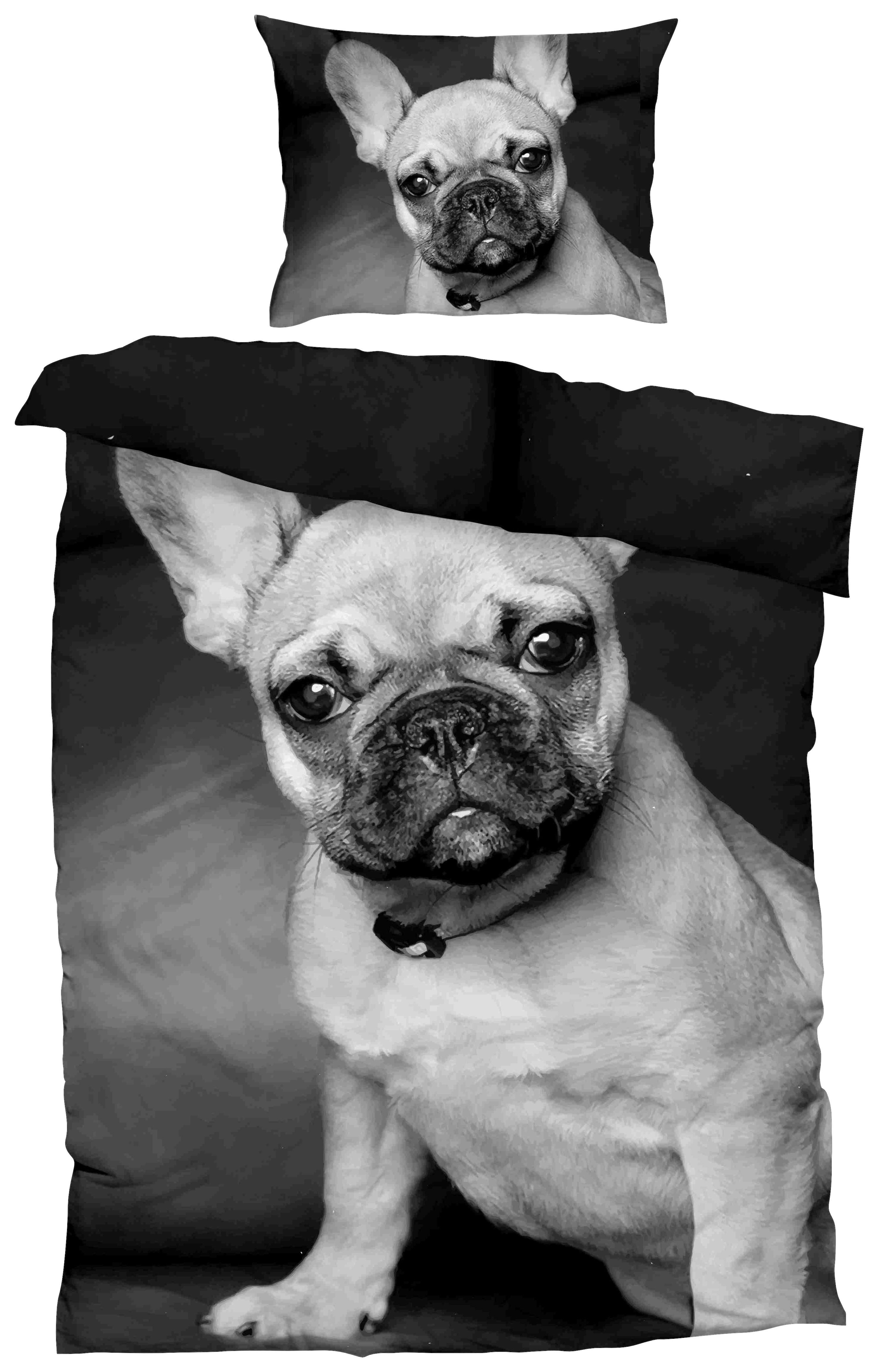 Posteľná Bielizeň French Bulldog, 140/200cm - čierna, Design, textil (140/200cm)