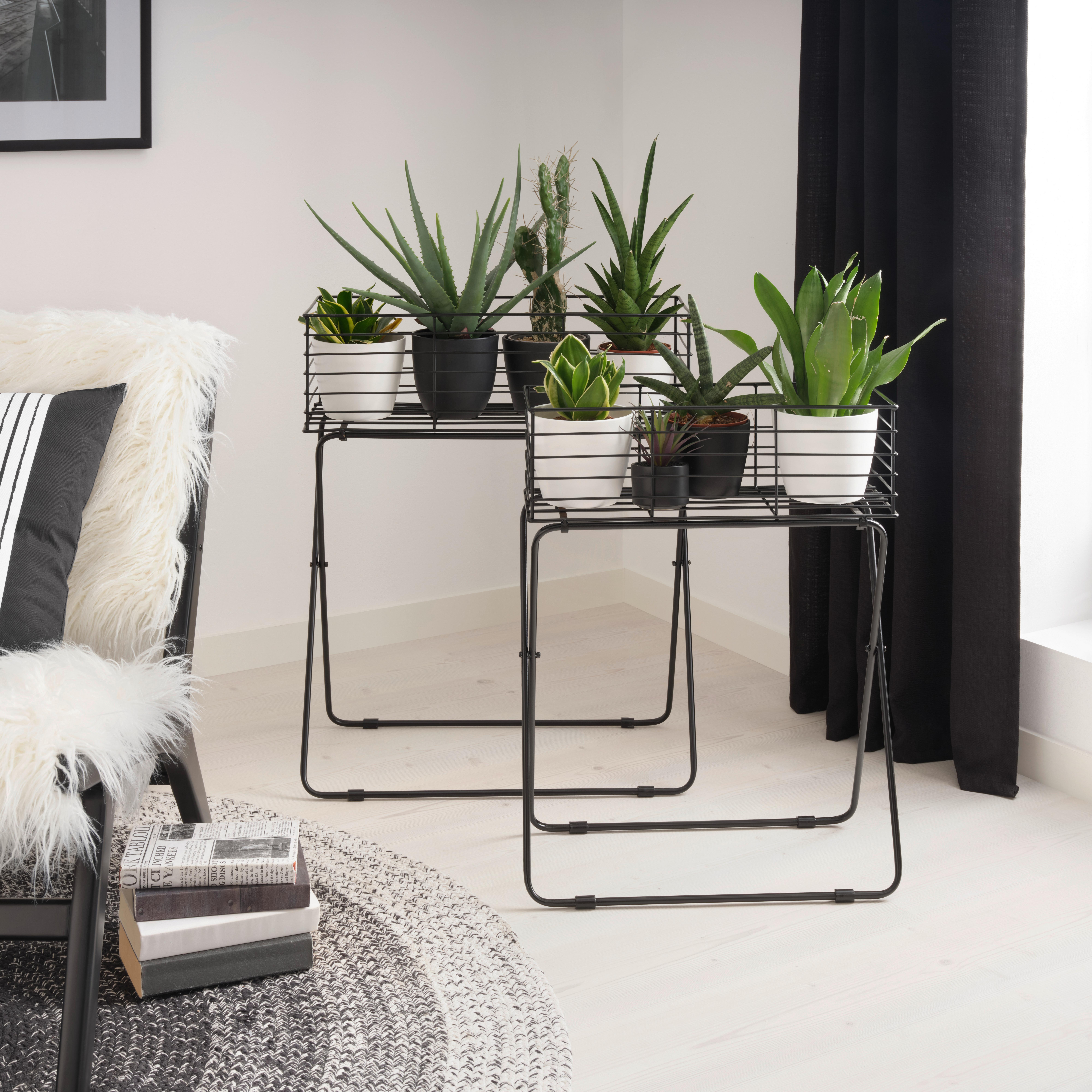 Stojan Na Rostliny Black Times, V: 30cm - černá, Basics, kov (60/72/30cm) - Modern Living