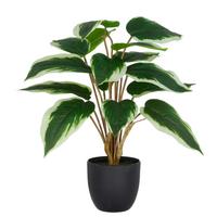 Kunstpflanze Hosta, H: 45 cm Kunststoff, Grün/Weiß - Schwarz/Weiß, Basics, Kunststoff (45cm) - P & B