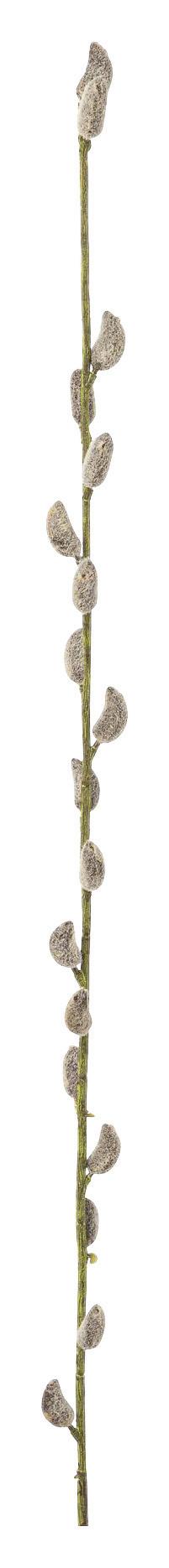 Kunstpflanze Palmkätzchenzweig Braun L: 84 cm, Gundi