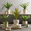 Rostlina Umělá Agave I - zelená, Konvenční, umělá hmota (38 cmcm) - Mömax modern living Rostlina Umělá Agave I - zelená, Konvenční, umělá hmota (38 cmcm) - Mömax modern living