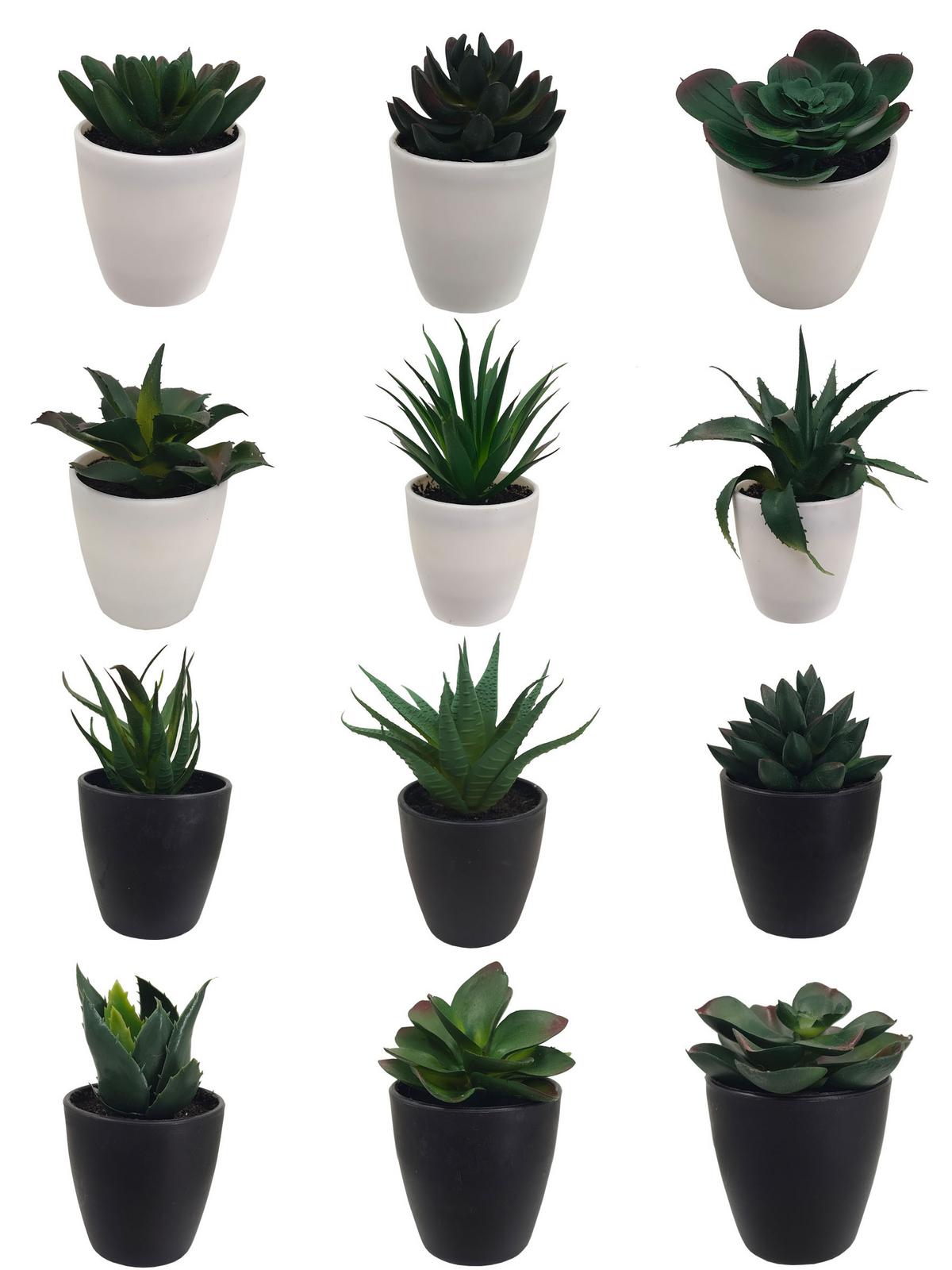 Kunstpflanze Isabella - Weiß/Grün, MODERN, Kunststoff (8/9-16cm) - Luca Bessoni