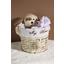 Korb Lisa S - Beige/Braun, ROMANTIK / LANDHAUS, Holz/Textil (18/16cm) - James Wood Korb Lisa S - Beige/Braun, ROMANTIK / LANDHAUS, Holz/Textil (18/16cm) - James Wood