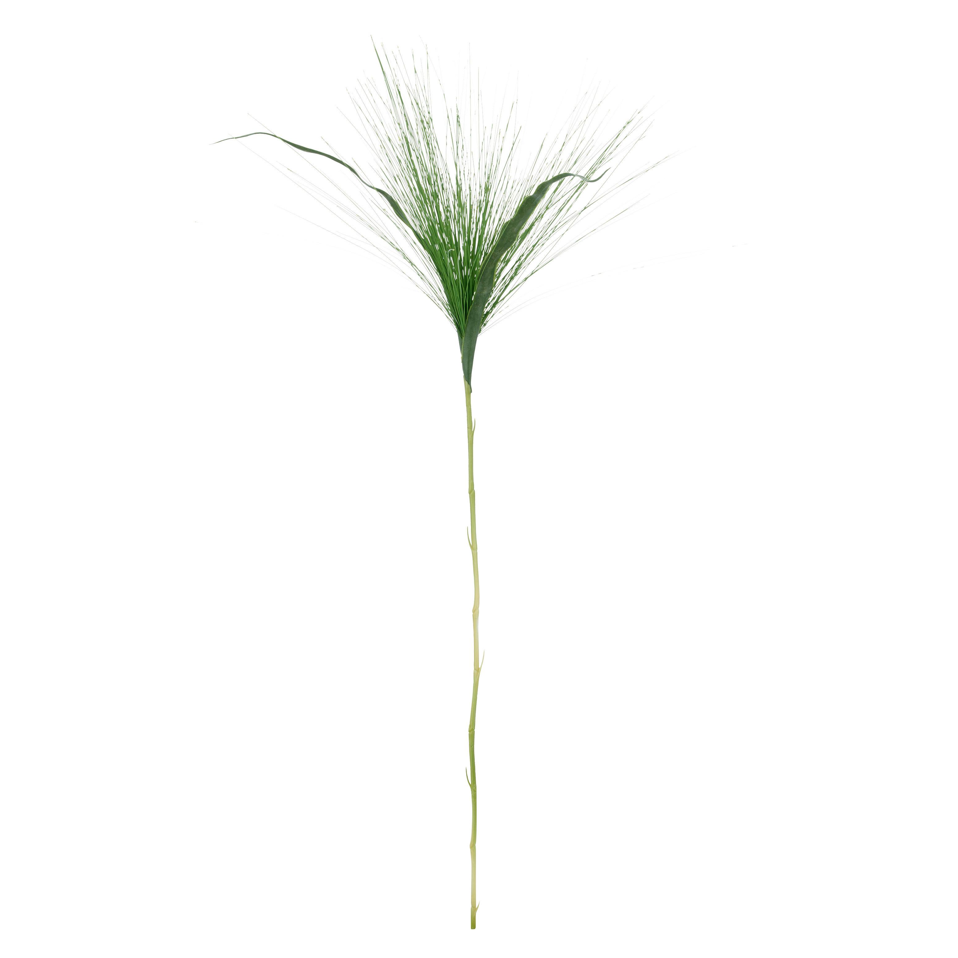 Umelá rastlina CYPERUSZWEIG II -PAZ- - zelená, Basics, kov/plast (90cm) - Mömax