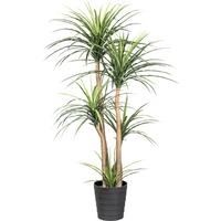 Kunstpflanze Drachenbaum H: 160 Cm - Schwarz/Naturfarben, Design, Kunststoff (160cm) - P & B