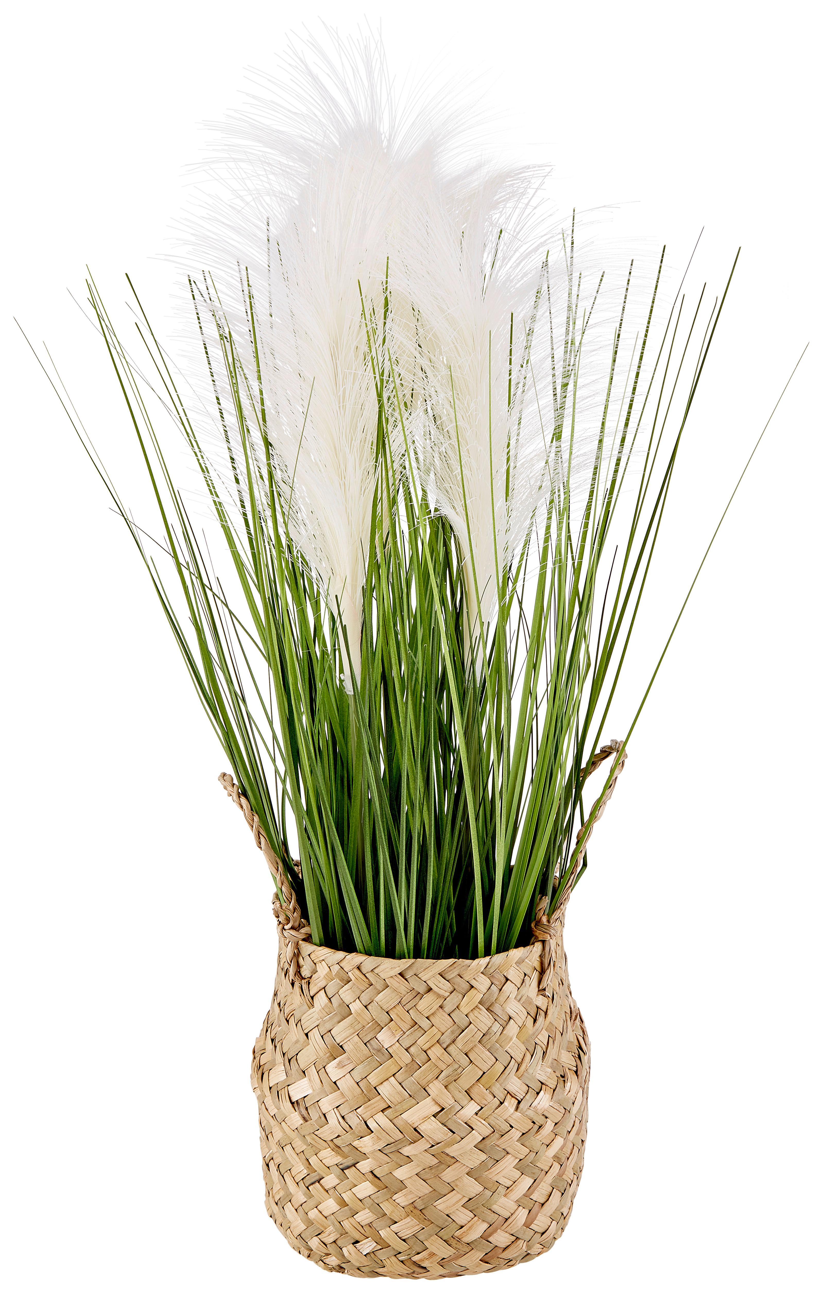 Kunstpflanze Bathia Grün/Weiß H: 46 cm mit Topf