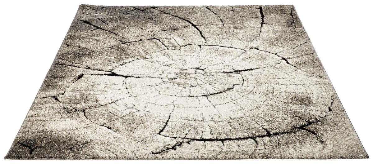 Webteppich Wild Oak - Dunkelgrau/Anthrazit, Design, Textil (200/290cm) - WECON HOME