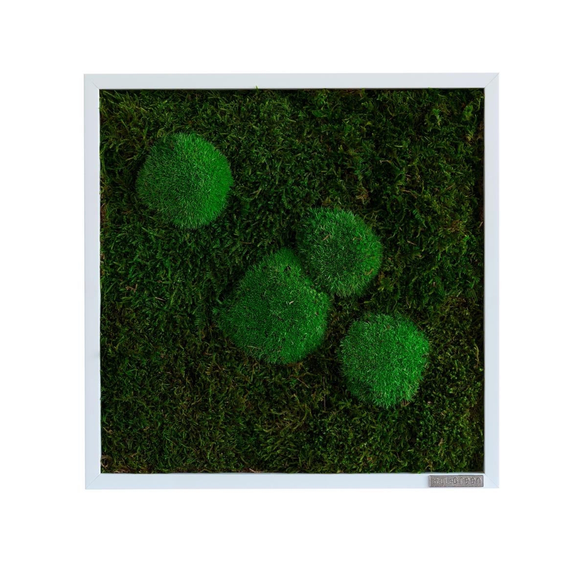 Machový obraz, rastliny - biela/zelená, Basics, drevo/prírodné materiály (35/35/6cm)