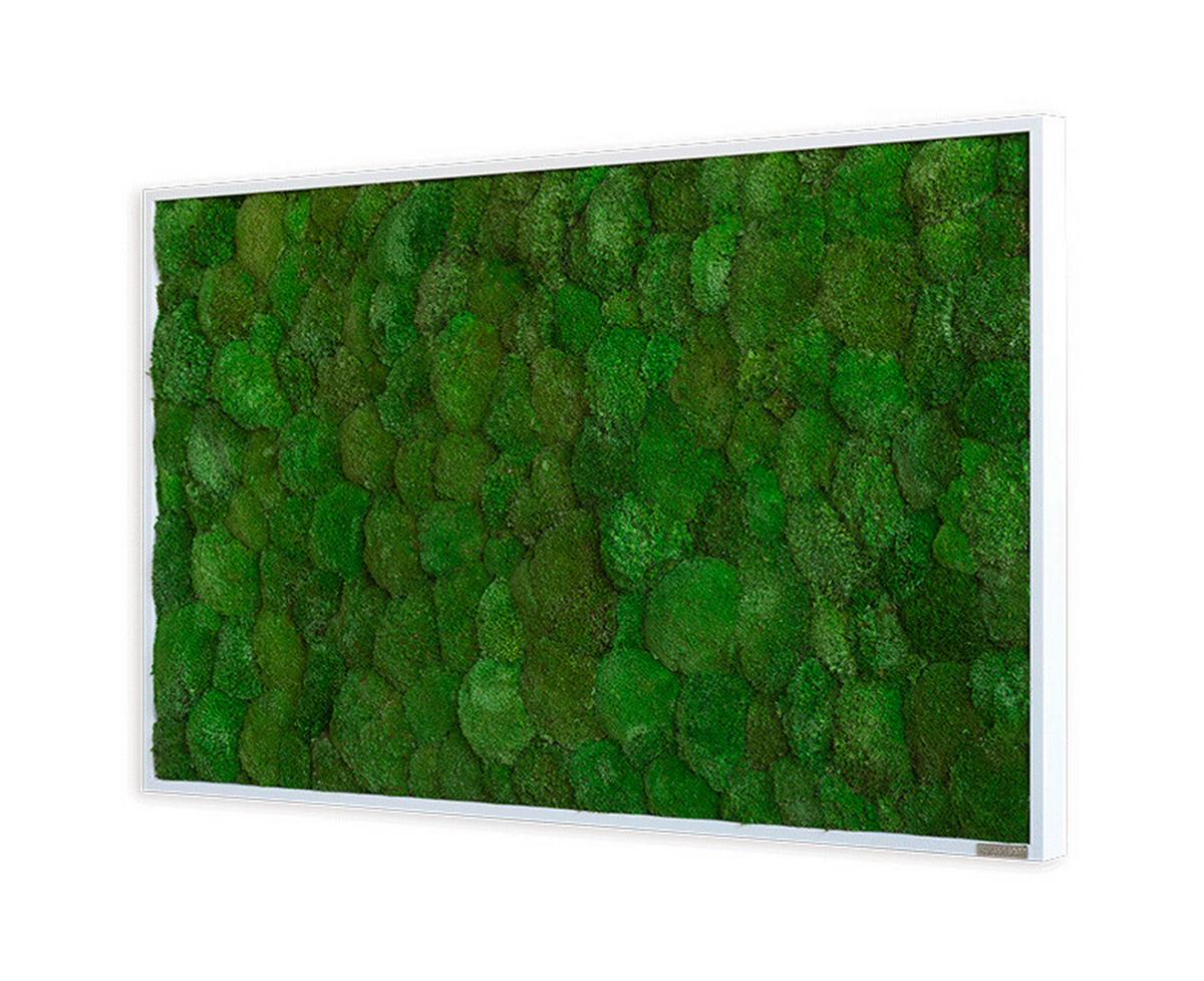 Moosbild Grün B: 100 cm - Weiß/Grün, Basics, Naturmaterialien/Holz (100/60/7cm)