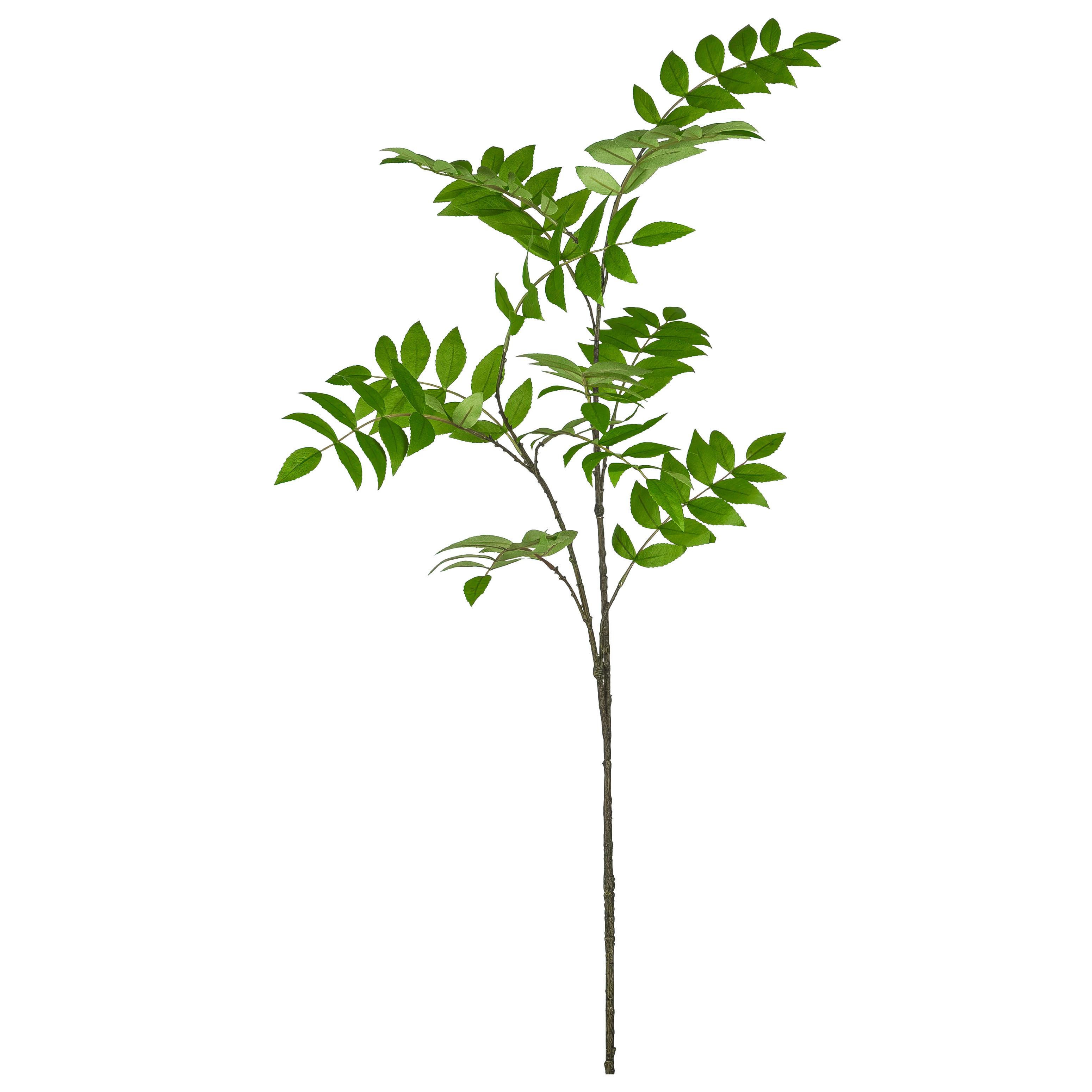 Dekorační větvička EBERESCHE, V: 135 cm - zelená/hnědá, Konvenční, plast (135cm) - Mömax