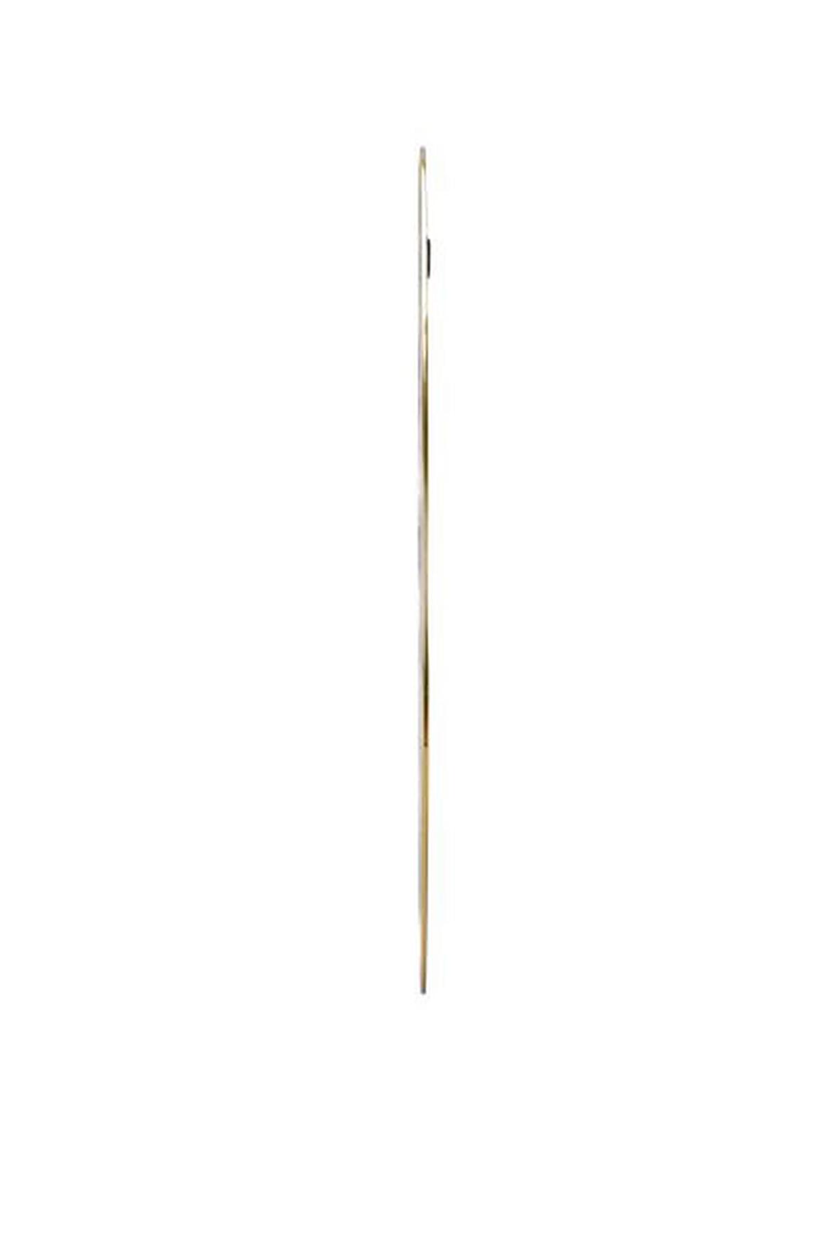NÁSTENNÉ ZRKADLO IDA - zlatá, Modern, kov/sklo (40/60cm) - Mömax