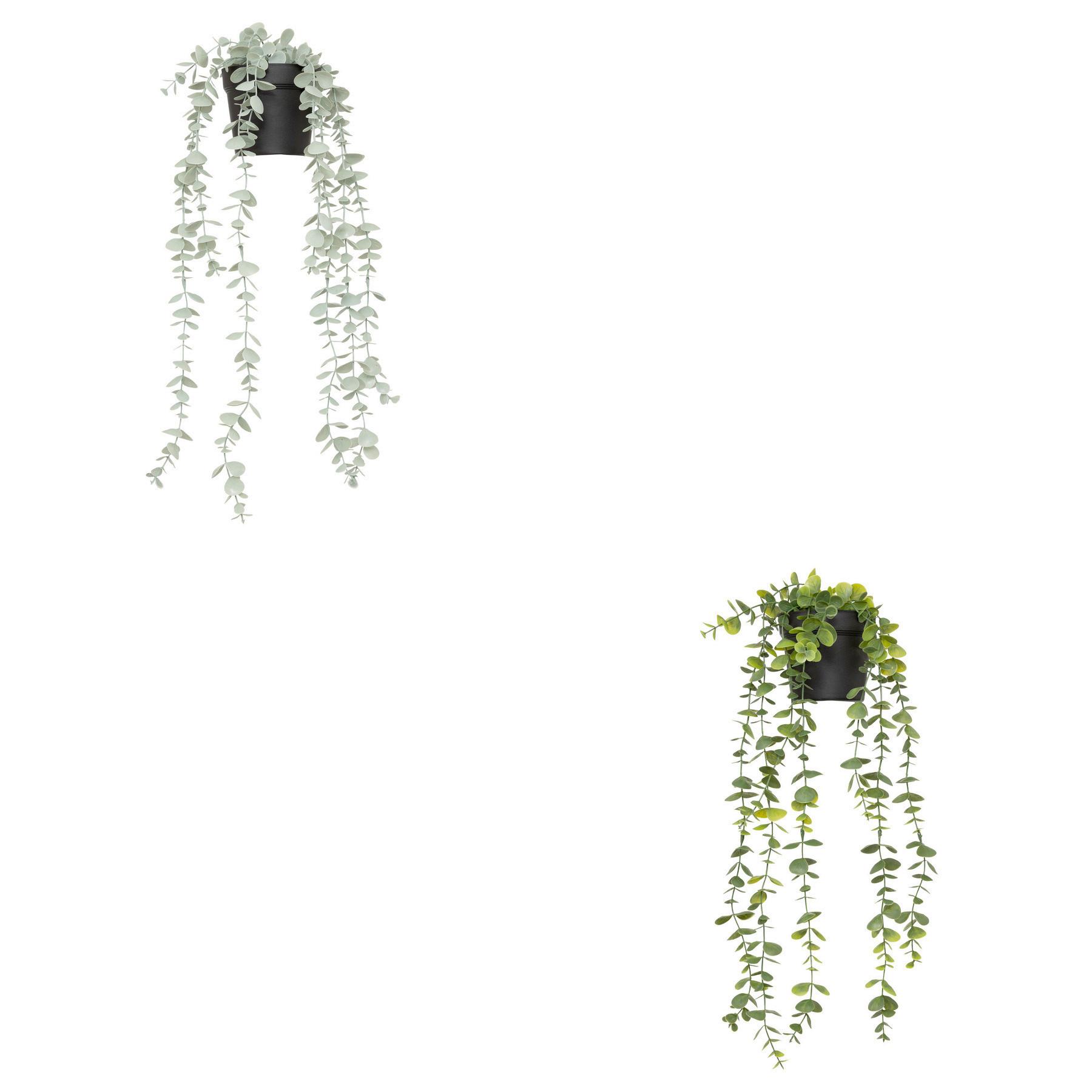 Umělá rostlina EUKALYPTUS - černá/šalvějově zelená, Basics, plast (18/51/13cm) - Mömax