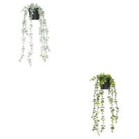 Umělá rostlina EUKALYPTUS - černá/šalvějově zelená, Basics, plast (18/51/13cm) - Mömax