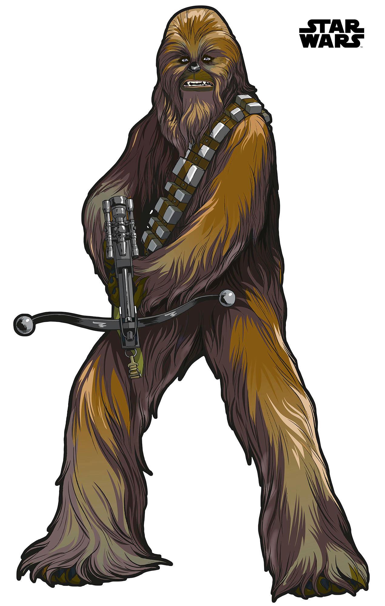 Fototapete 12403 Star Wars Xxl - Trend (127/200cm)