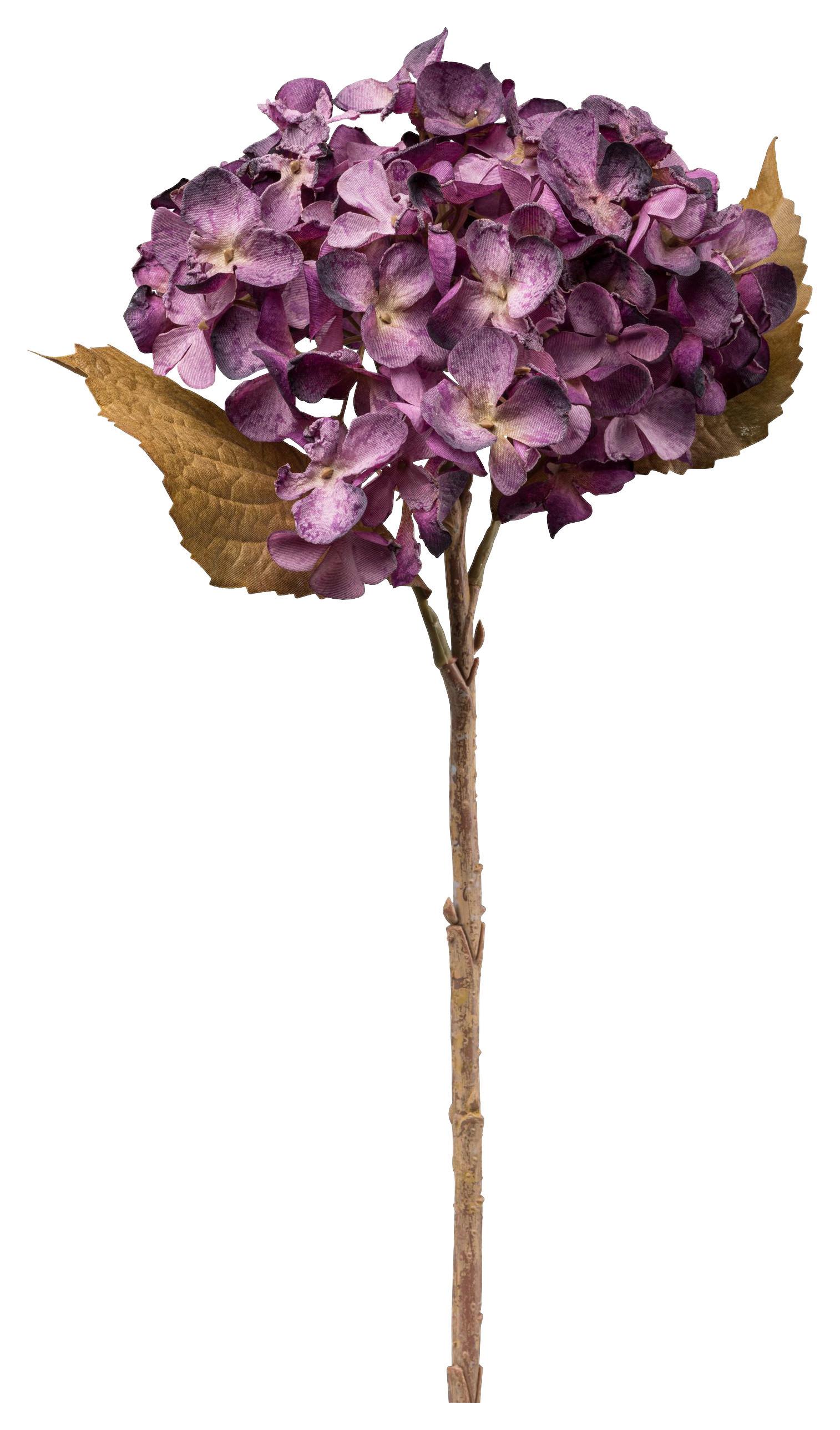 Umelá rastlina HORTENSIE I - lila/prírodná farba, Basics, plast (46cm) - Mömax