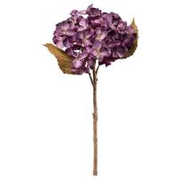 Umelá rastlina HORTENSIE I - lila/prírodná farba, Basics, plast (46cm) - Mömax