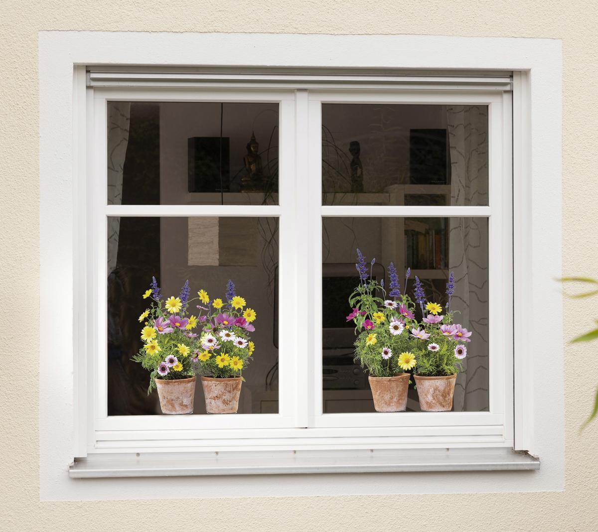 Fensterbild Springtime - Multicolor, Natur, Kunststoff (31/31cm) - Komar