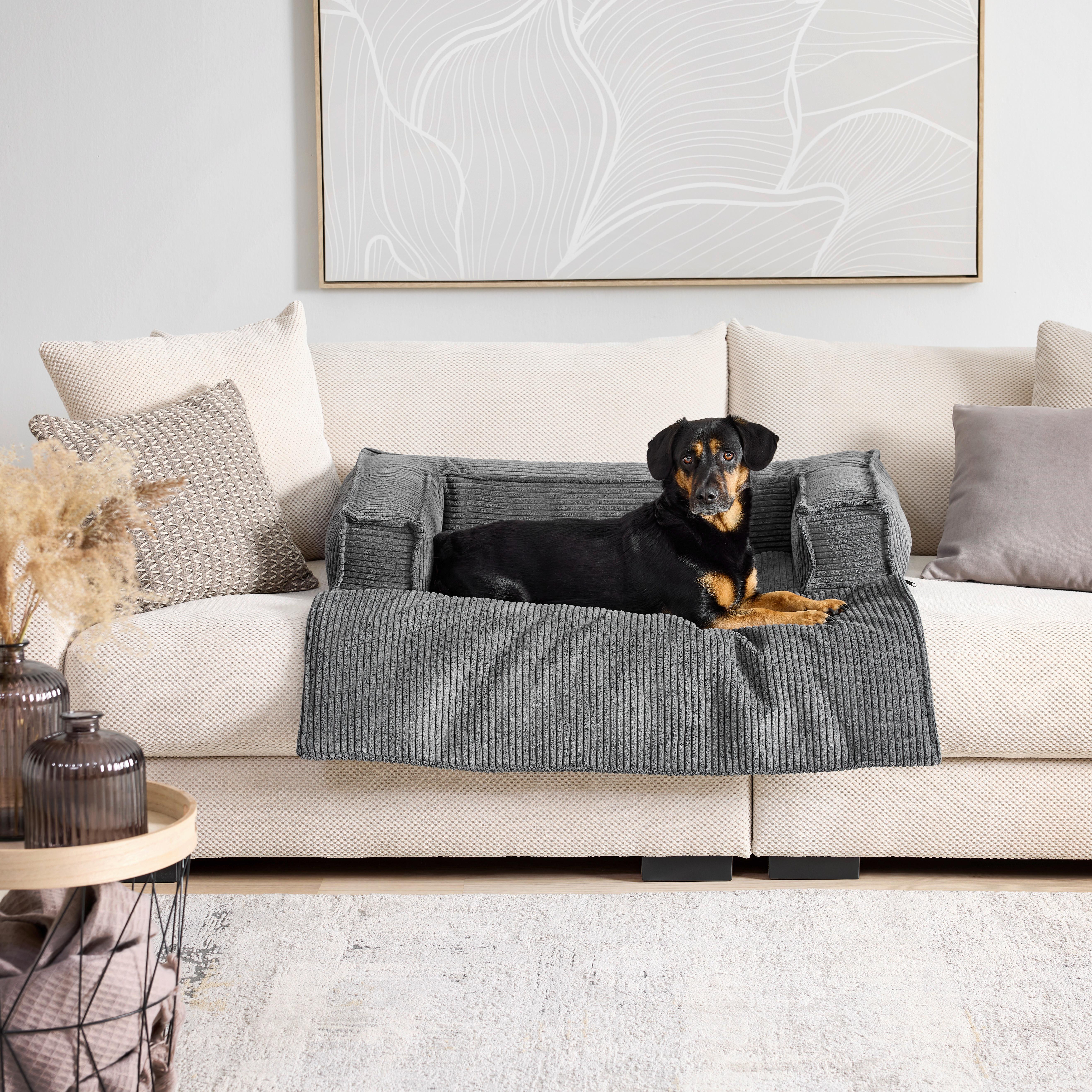 Pohovka pro psa PET FLAT, antracitový manšestr - tmavě šedá, Konvenční, textil (105/20/105cm) - Mömax