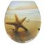WC-Sitz Duroplast Sea Star - Sandfarben/Creme, MODERN, Kunststoff (37,4/45,3cm) WC-Sitz Duroplast Sea Star - Sandfarben/Creme, MODERN, Kunststoff (37,4/45,3cm)