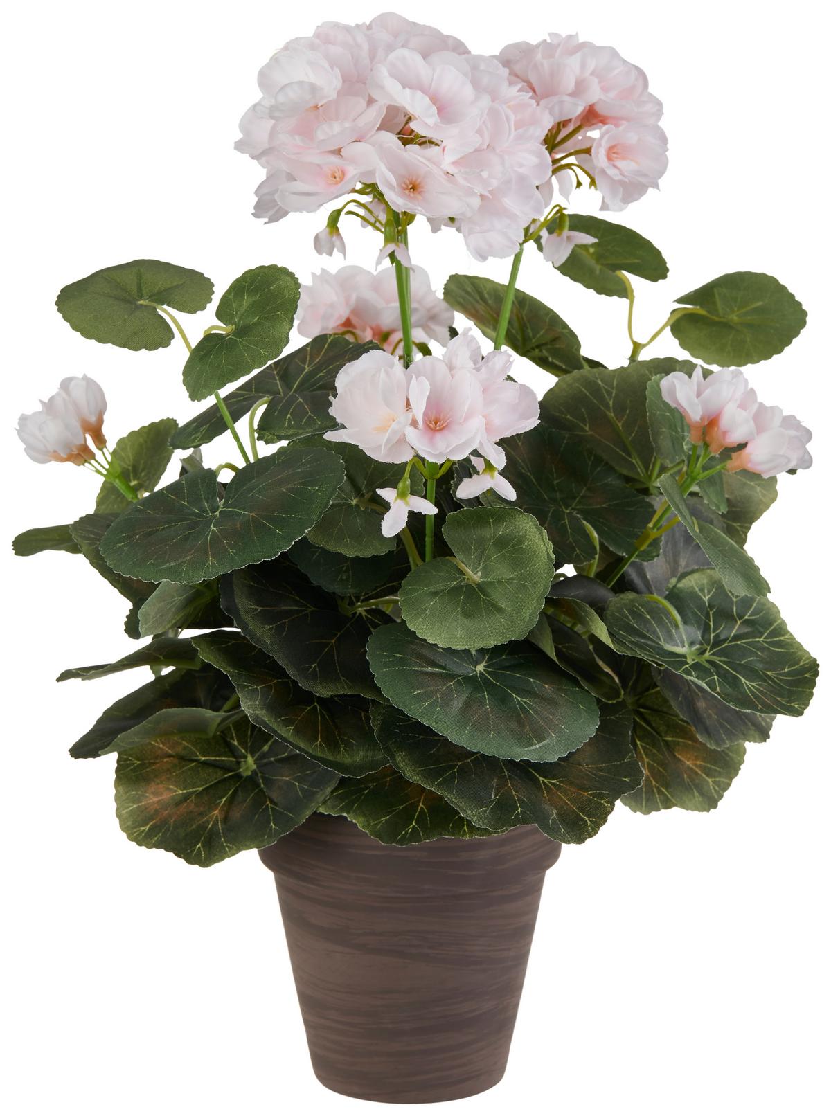 Művirág Gisi - krémszínű/világos rózsaszín, Modern, műanyag/kerámia (16/36cm) - Luca Bessoni