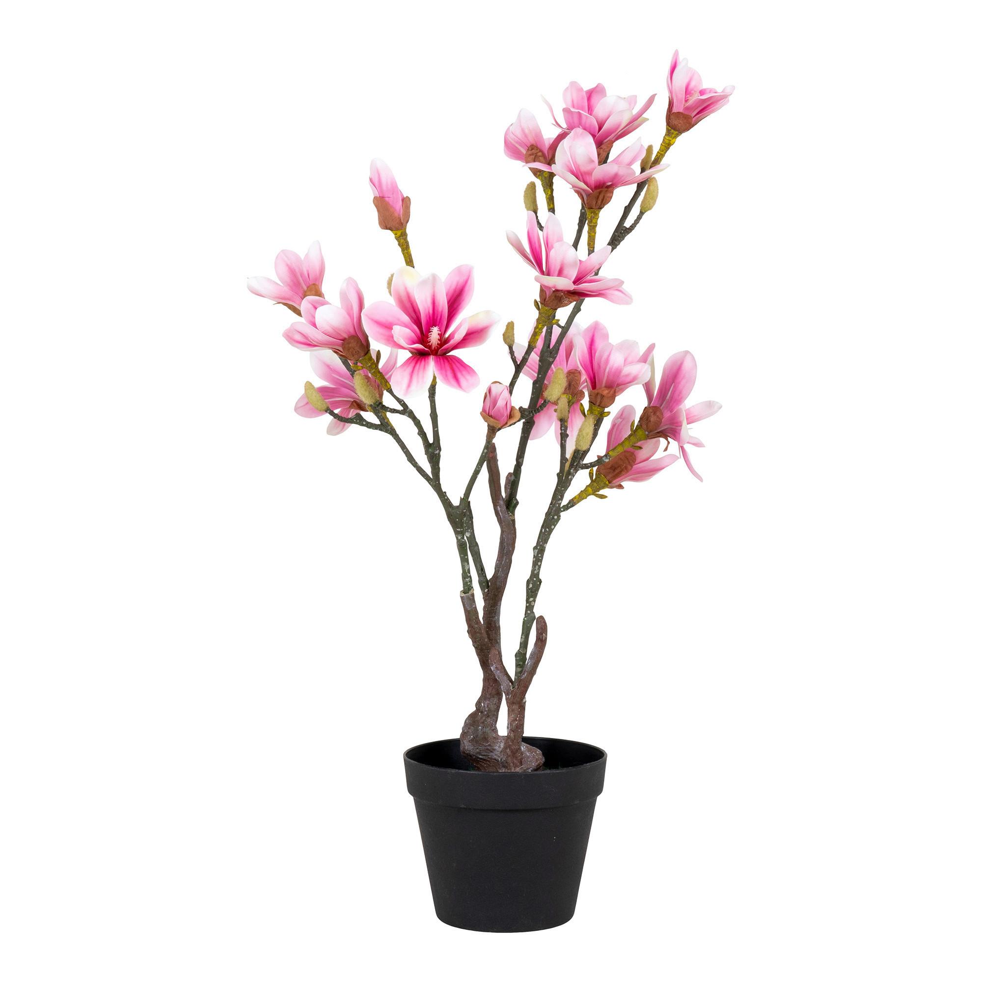 Kunstpflanze Grün Rosa Braun Schwarz - Schwarz/Rosa, Basics, Kunststoff (75cm)