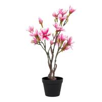 Kunstpflanze Grün Rosa Braun Schwarz - Schwarz/Rosa, Basics, Kunststoff (75cm)