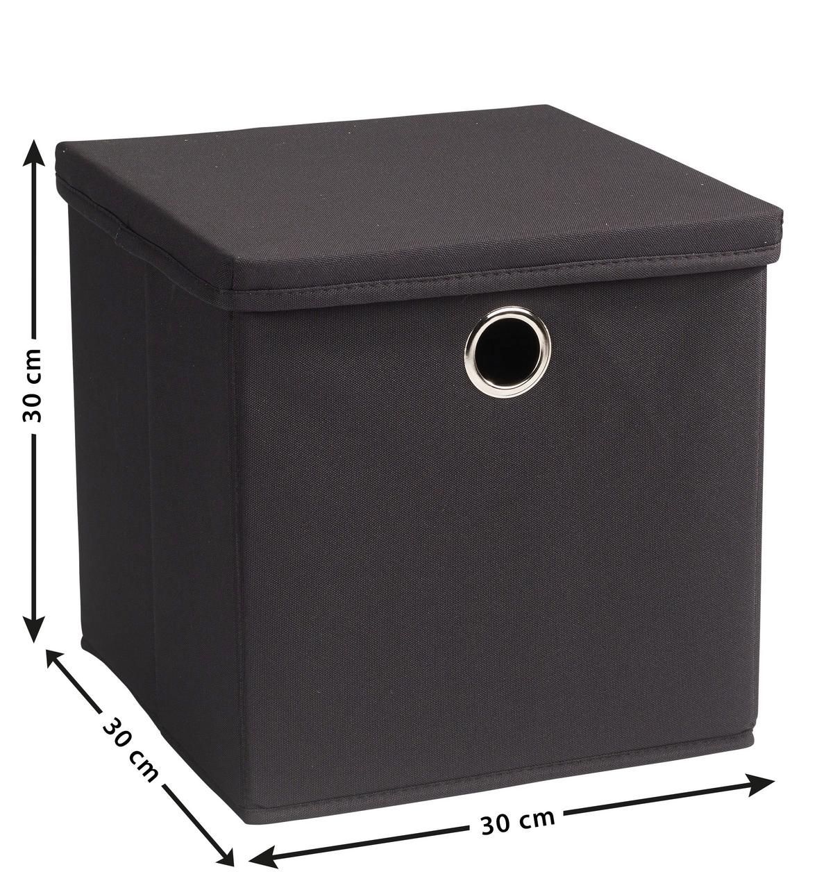 Aufbewahrungsbox Echtwerk Falt/aufbewahrungsbox - Anthrazit, Design, Textil (30/30/30cm) - Echtwerk