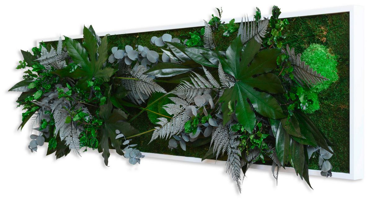 Moosbild Moos Grün B: 140 Cm - Weiß/Grün, Basics, Naturmaterialien/Holz (140/40/18-22cm)