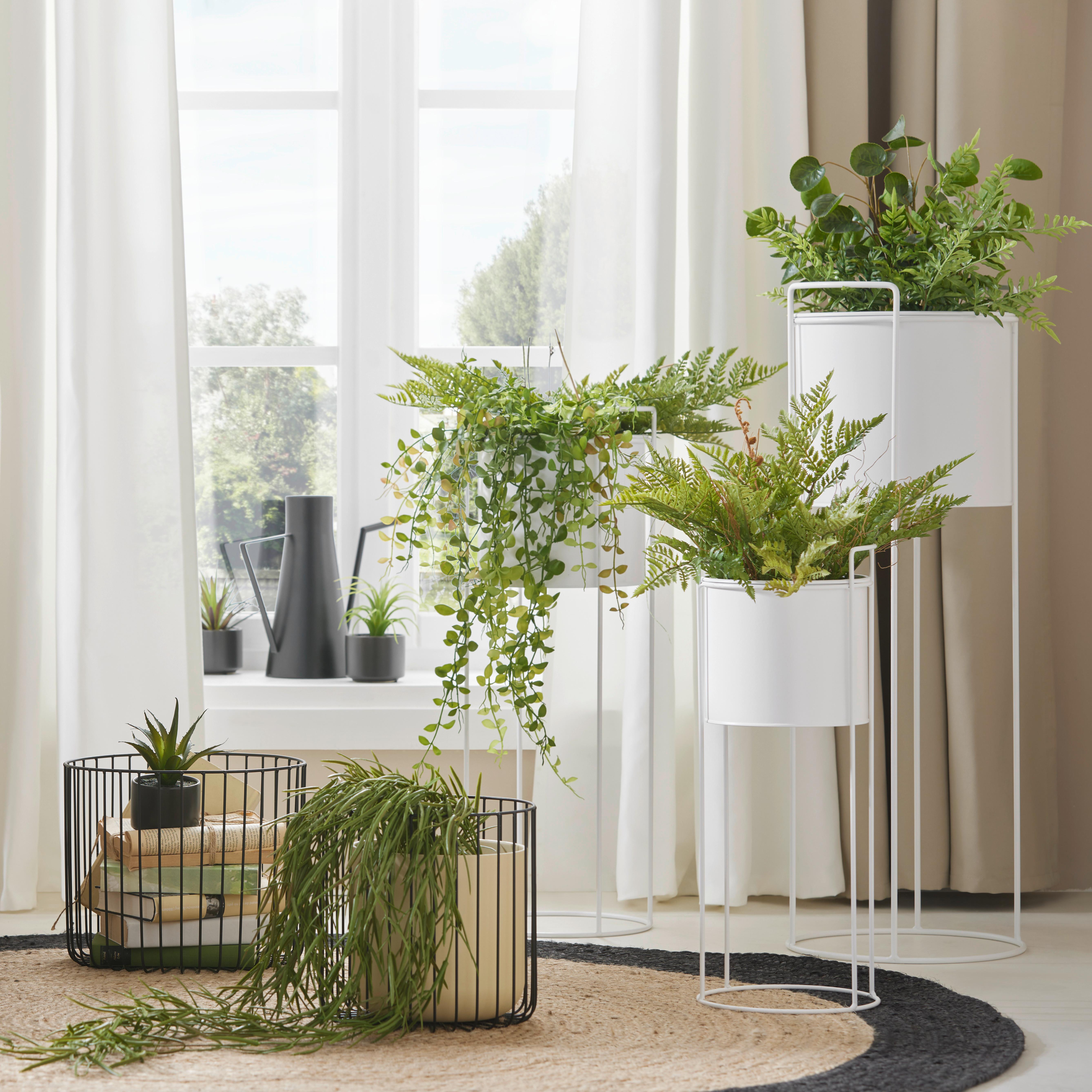 Dekoračná rostlina Farn, V: 40cm - zelená, Basics, plast (40cm) - Modern Living