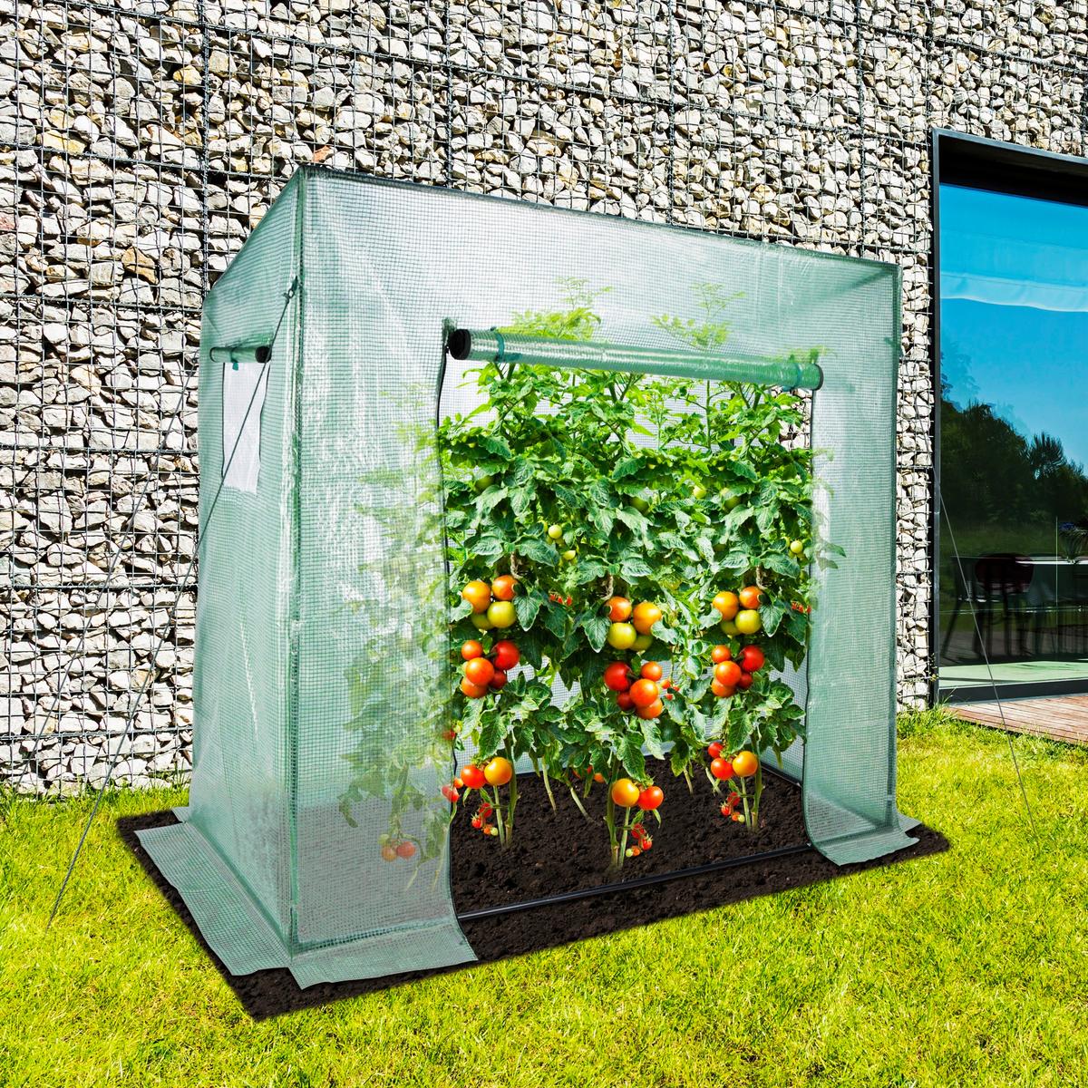 Gewächshaus 1,54m² Metall /Kunststoff Grün/Transparent - Transparent/Grün, Basics, Kunststoff/Metall (200/148-169/77cm)