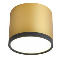 LED-Deckenleuchte Ø 8,8 cm 1-Flammig, Schwarz/Golden - Design, Metall (8.8/8.8/7.5cm)