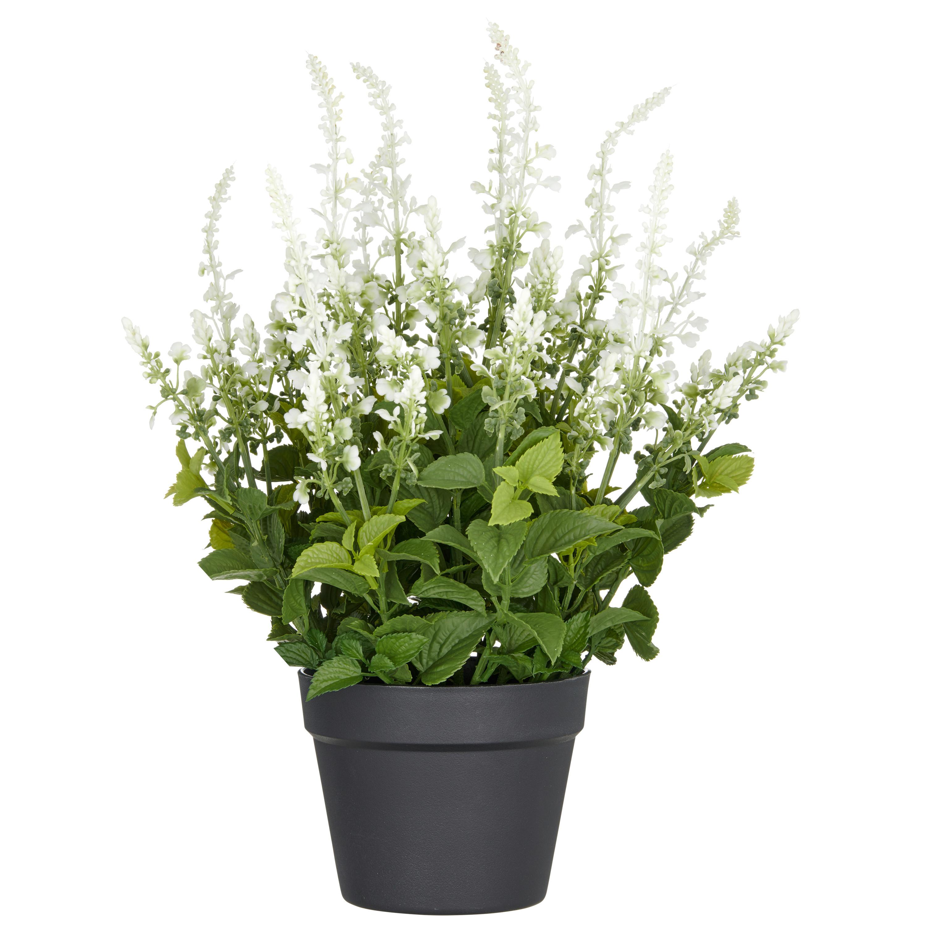 Kunstpflanze Grün Weiß Schwarz B: 19 Cm - Schwarz/Weiß, Basics, Kunststoff (59cm) - P & B