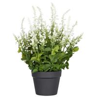 Kunstpflanze Grün Weiß Schwarz B: 19 cm - Schwarz/Weiß, Basics, Kunststoff (59cm) - P & B