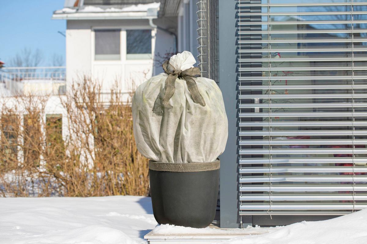 Ökö-Wintervlies BxL:150x300 cm Witterungsbeständig - Weiß, Basics, Textil (150/300cm) - Windhager