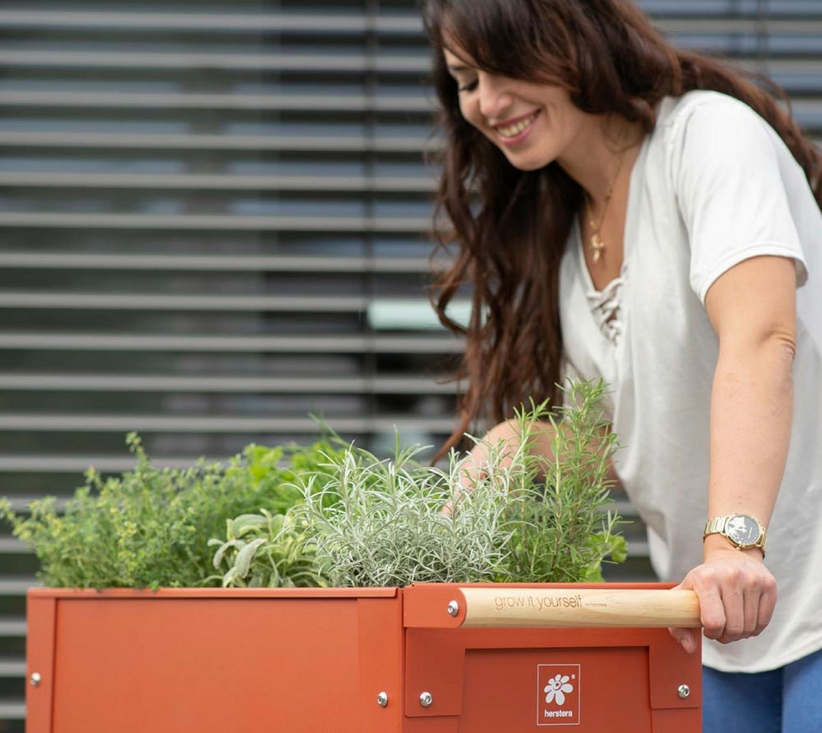 Hochbeet Stahl Kräuterfabrik mit Rollen 35x80x75 cm Rot - Rot, Basics, Metall (35/80/75cm)