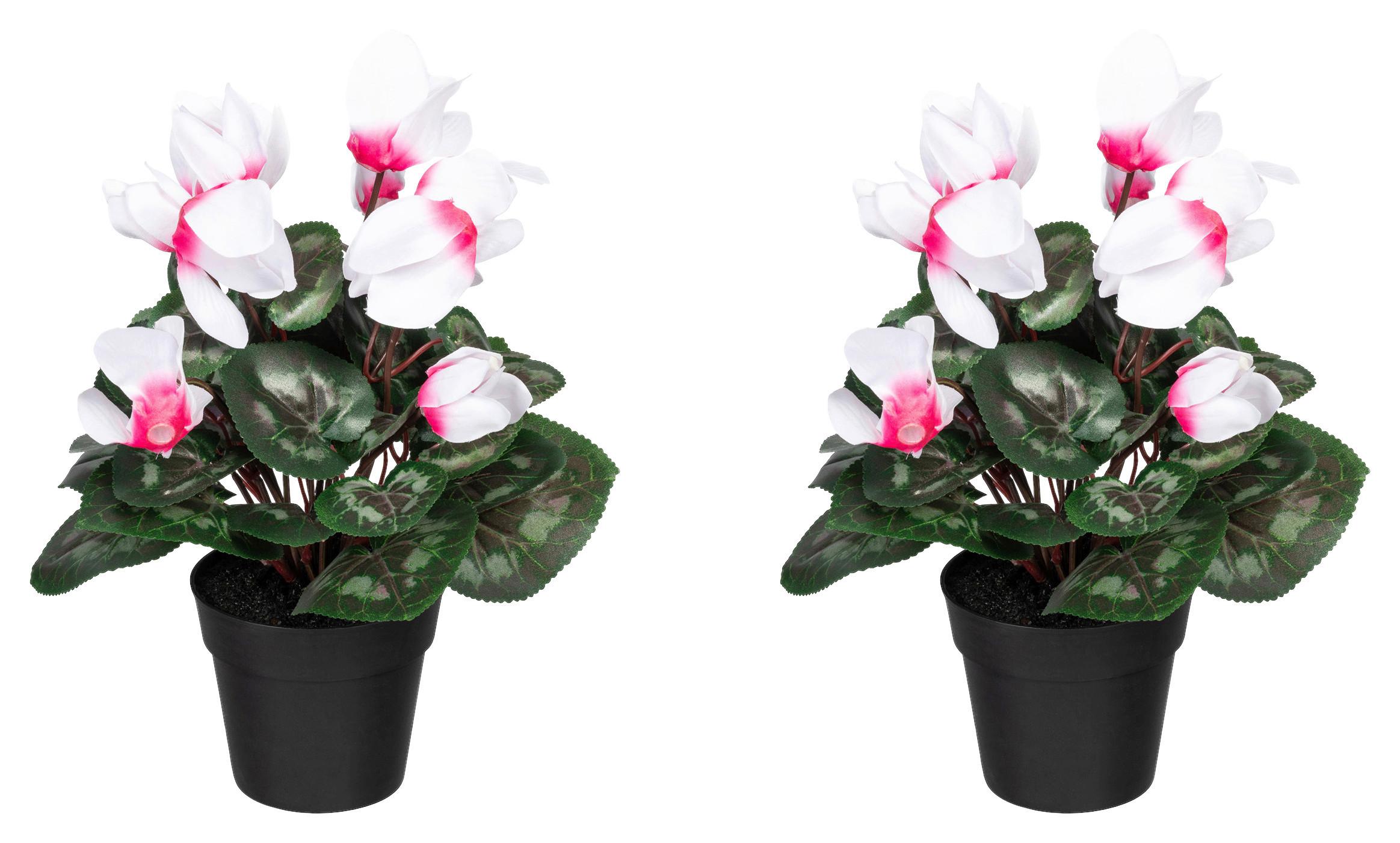 Kunstpflanze Blühpflanzen Weiß/Pink/Grün, 30 cm - Pink/Schwarz, Design, Kunststoff (30cm) - P & B