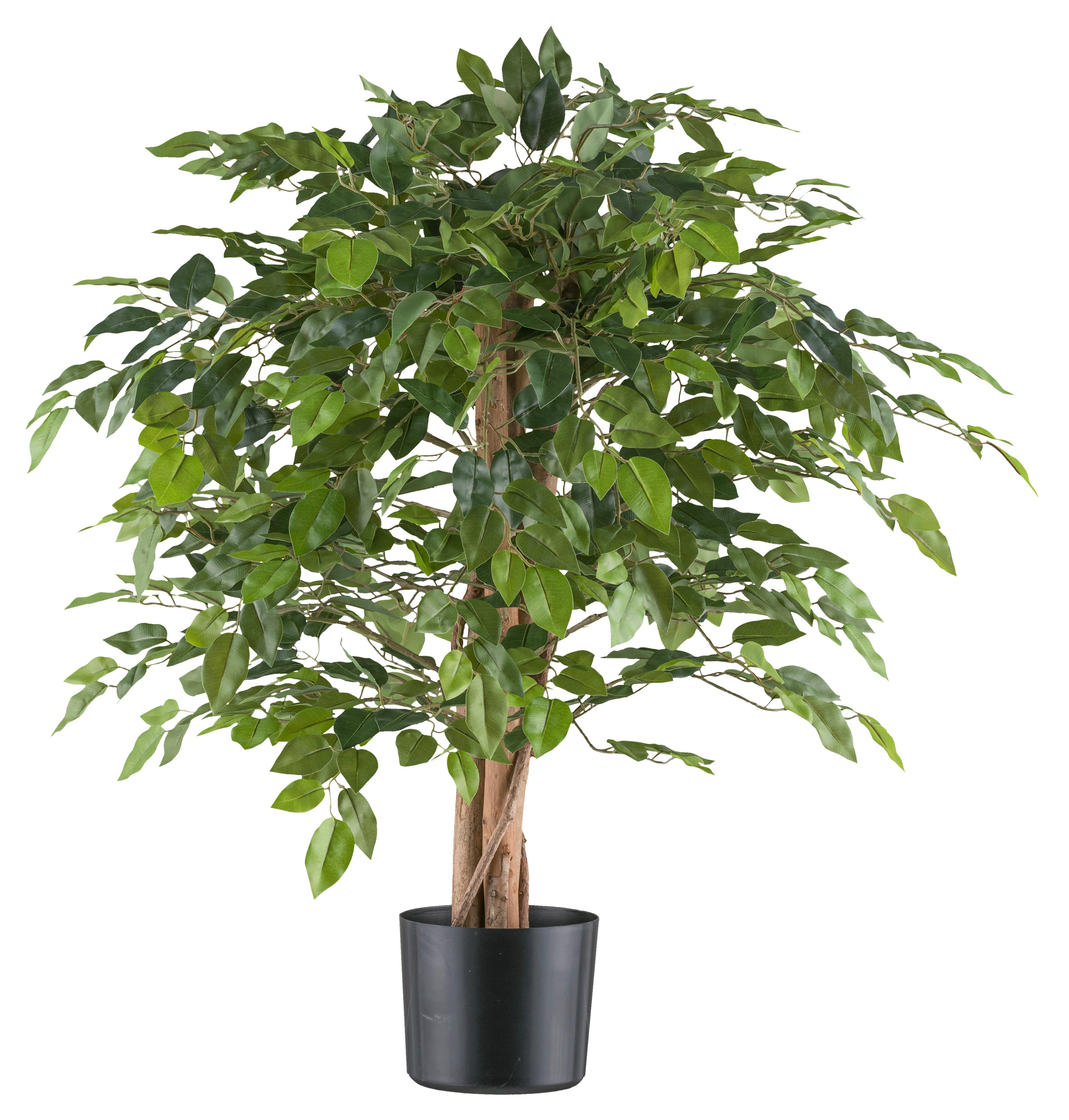 Kunstpflanze Ficus Benjamina H: 85 cm - Schwarz/Naturfarben, Design, Naturmaterialien/Kunststoff (85cm) - P & B