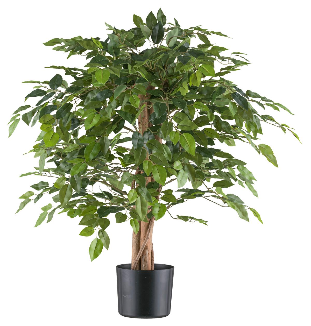 Kunstpflanze Ficus Benjamina H: 85 cm - Schwarz/Naturfarben, Design, Naturmaterialien/Kunststoff (85cm) - P & B